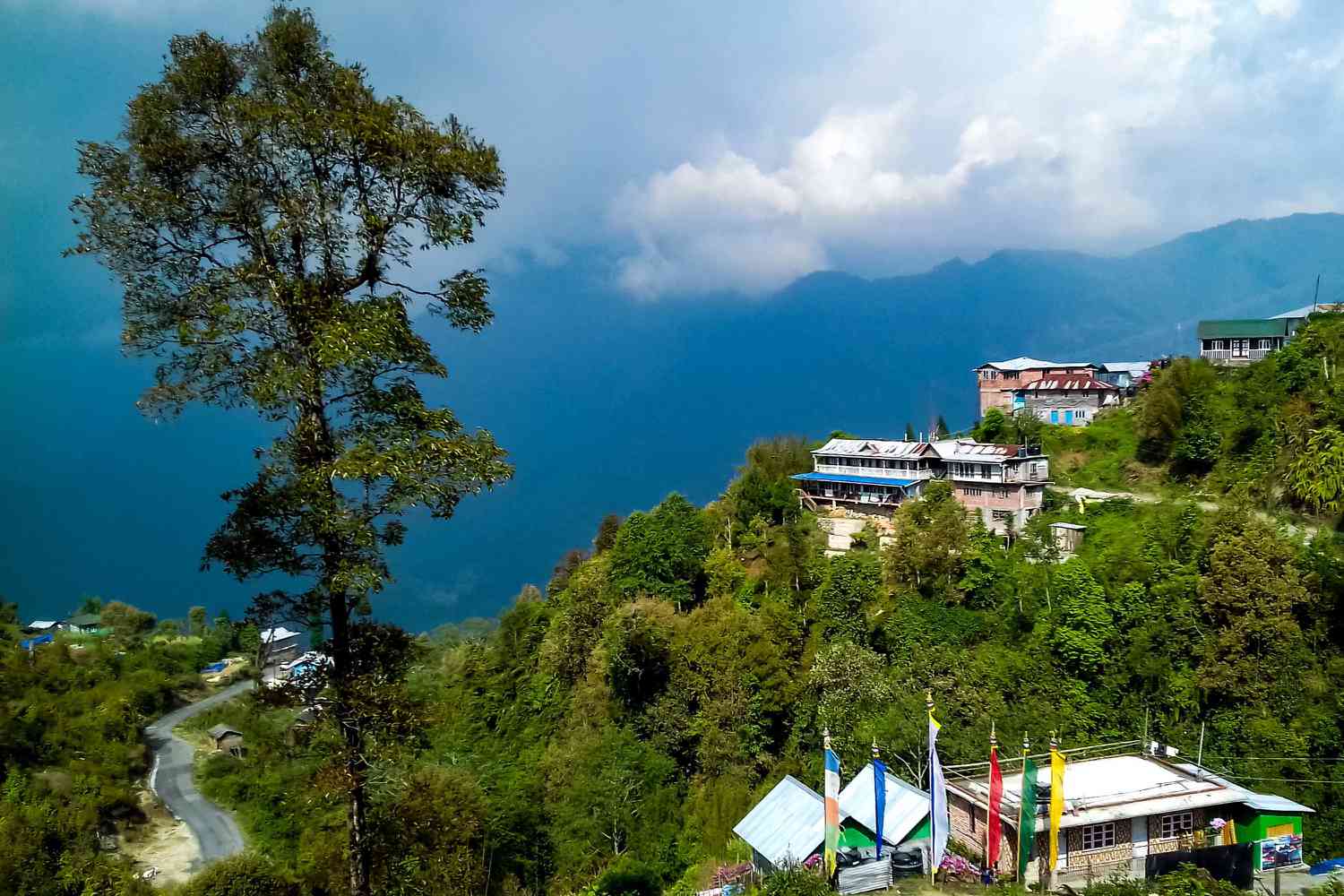 Kalimpong View